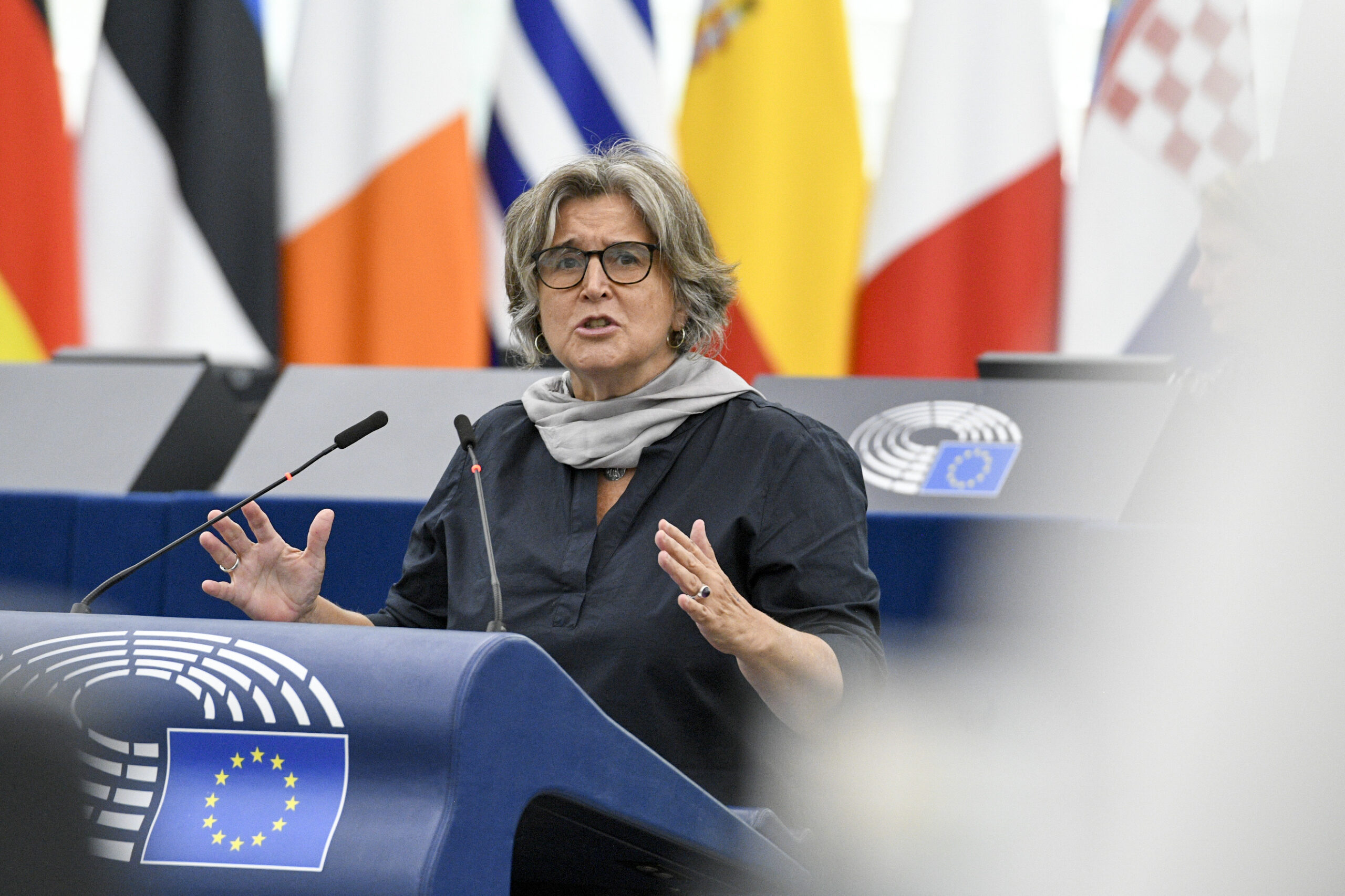 Maria Noichl, S&D, Rapporteurin des Prostitutionsberichts